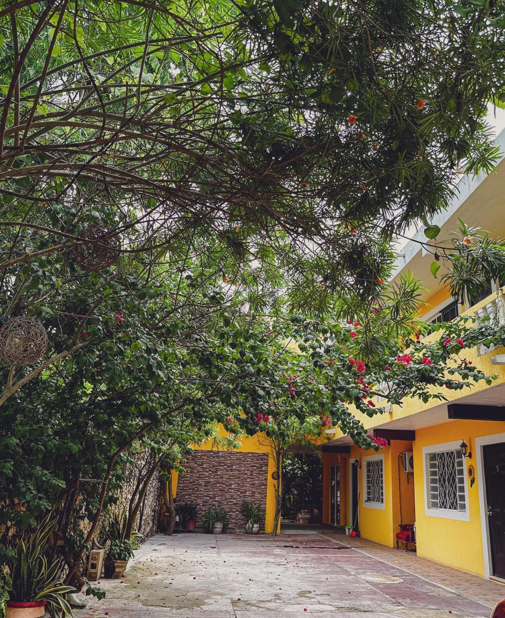 Casa Daniels Guesthouse Valladolid  Ngoại thất bức ảnh
